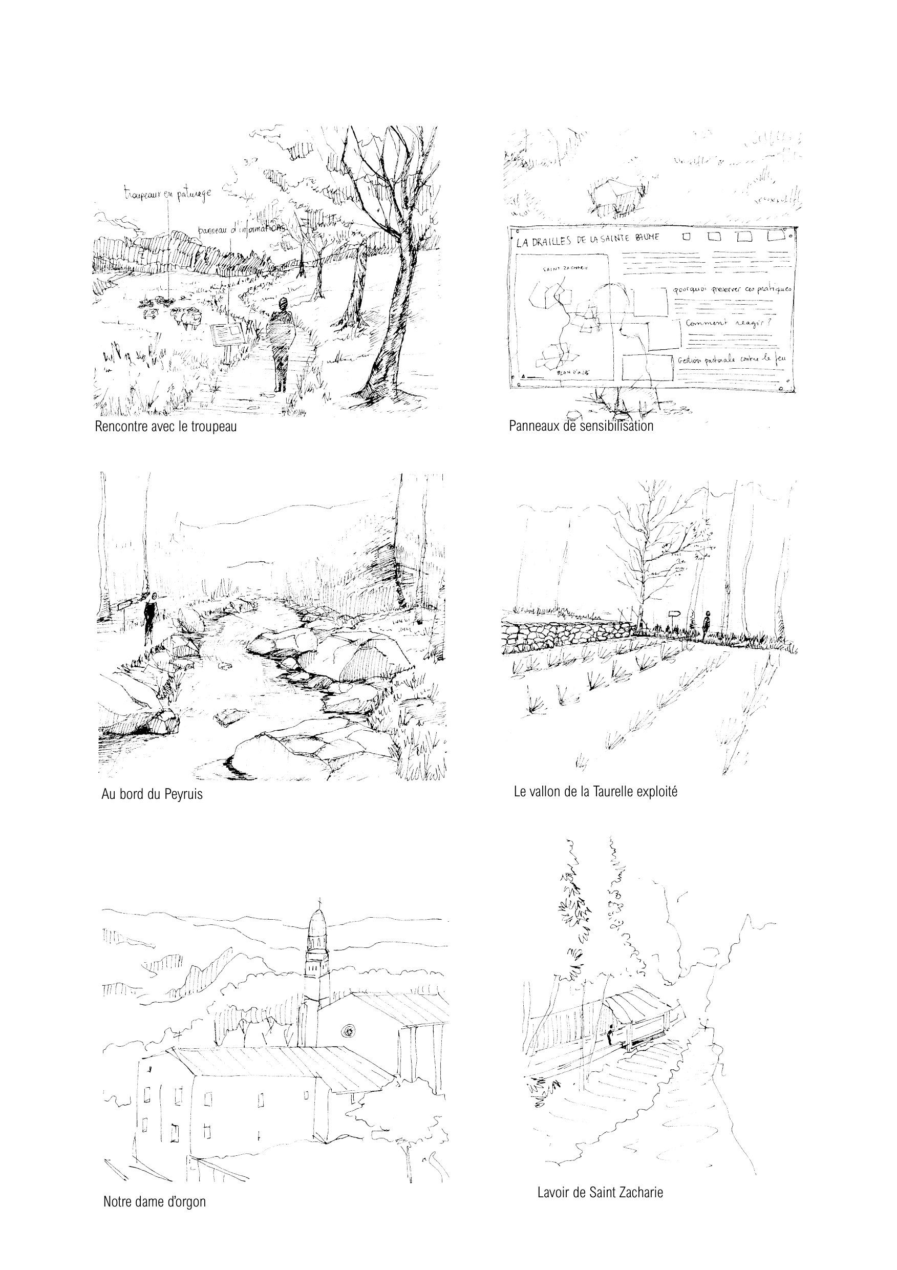 Carnet de croquis : le troupeau, le lavoir de Saint-Zacharie, le bord du Peyruis