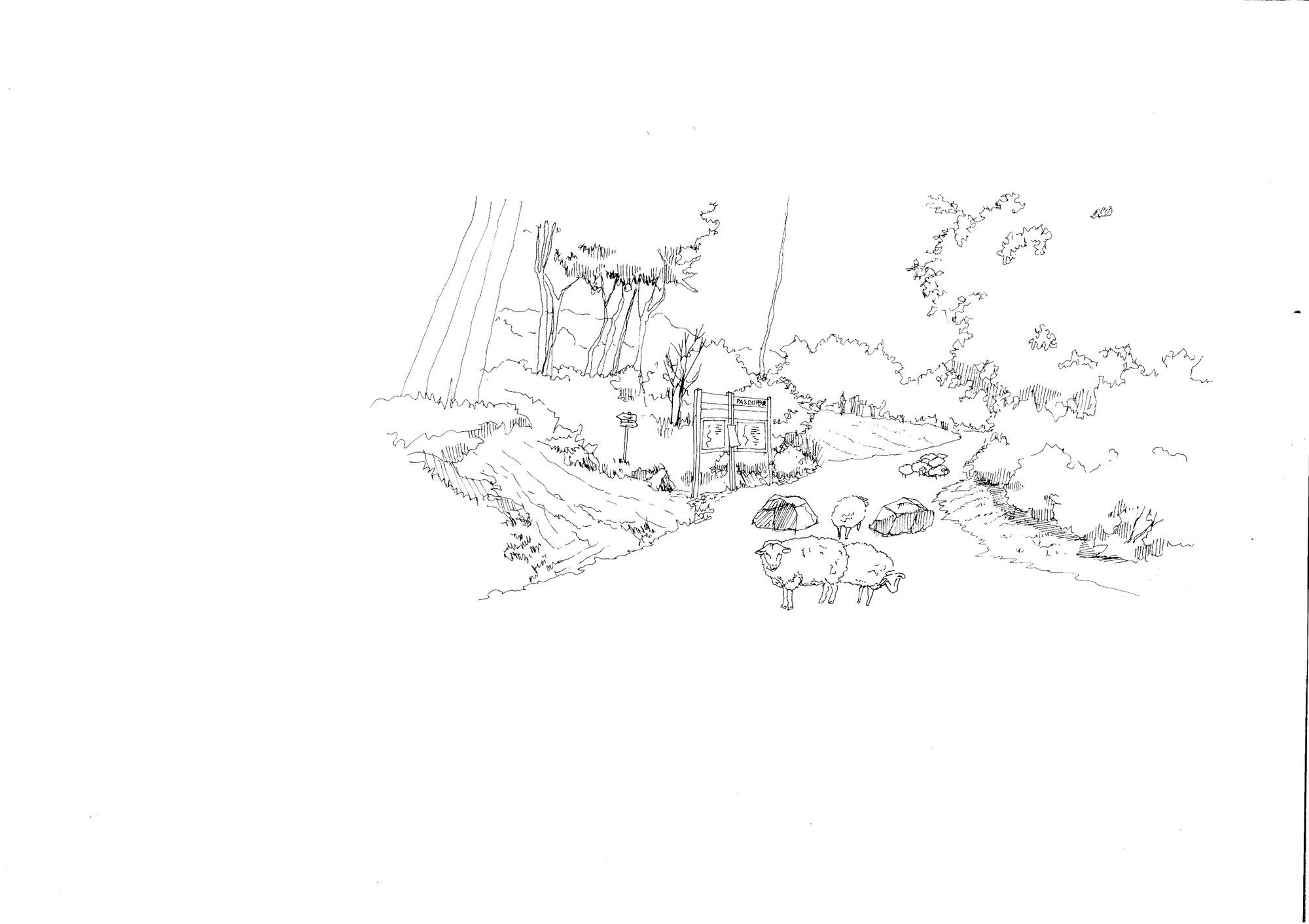 Croquis du troupeau au pâturage sous les arbres du vallon
