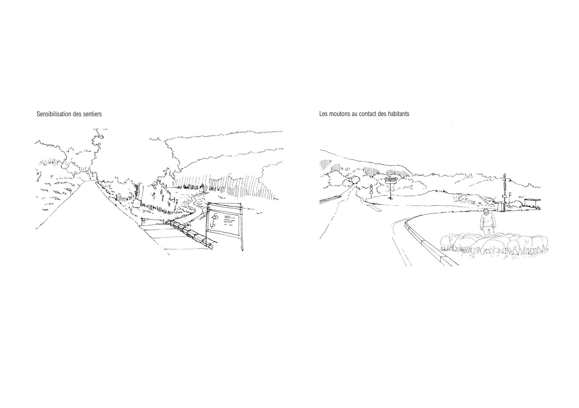 Croquis des sentiers et de la rencontre entre les moutons et les habitants