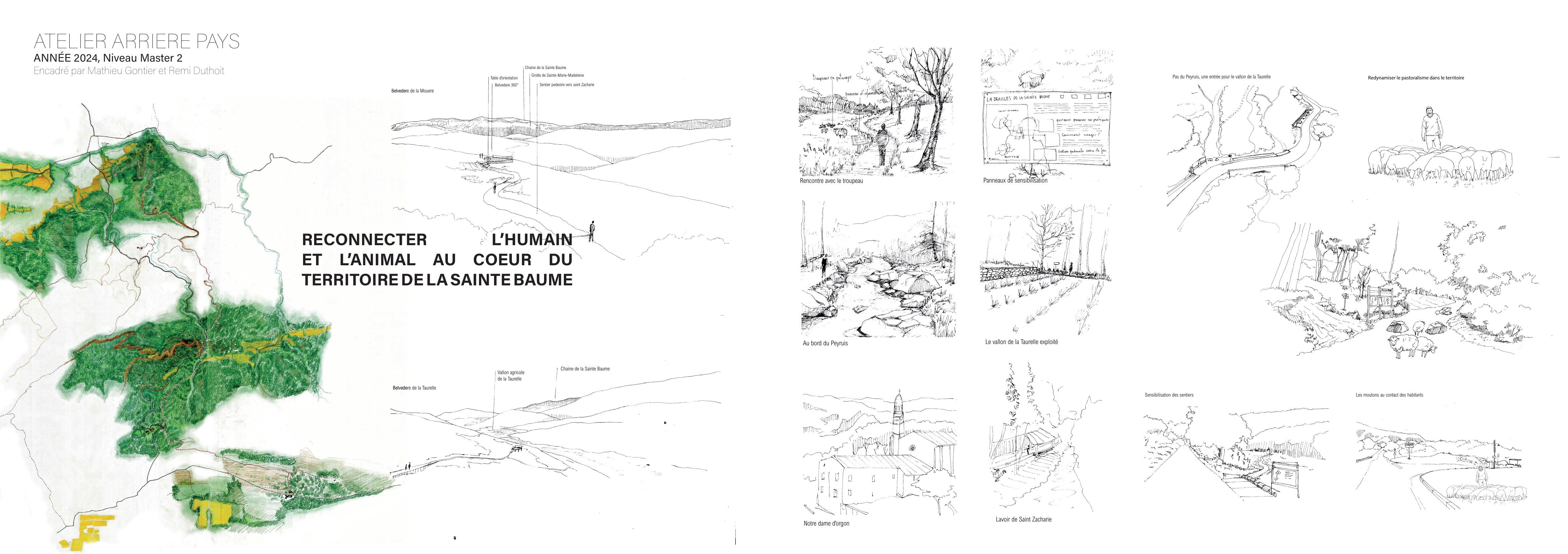 Planche du plan de paysage de la Sainte-Baume : sentiers, belvédères, vallon de la Taurelle et parcours du troupeau