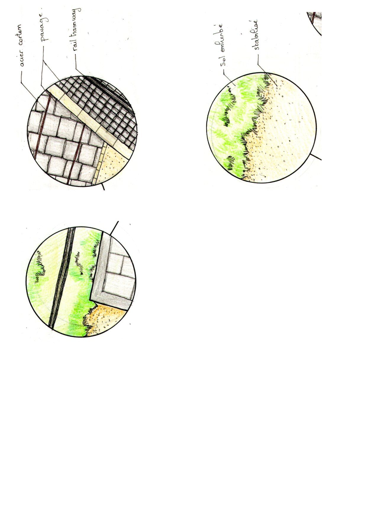 Trois détails de sol et de plantation, dessinés en médaillon