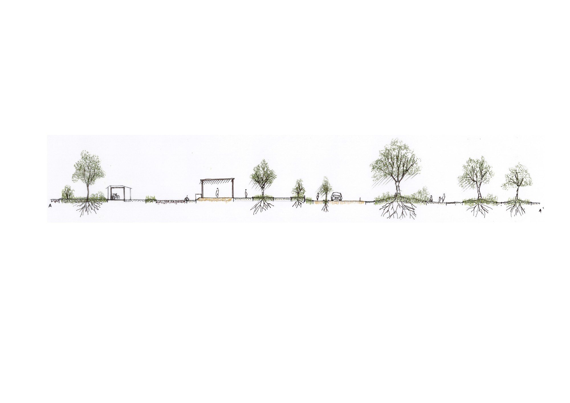 Coupe longitudinale du parc : terrasses plantées et bosquets réguliers