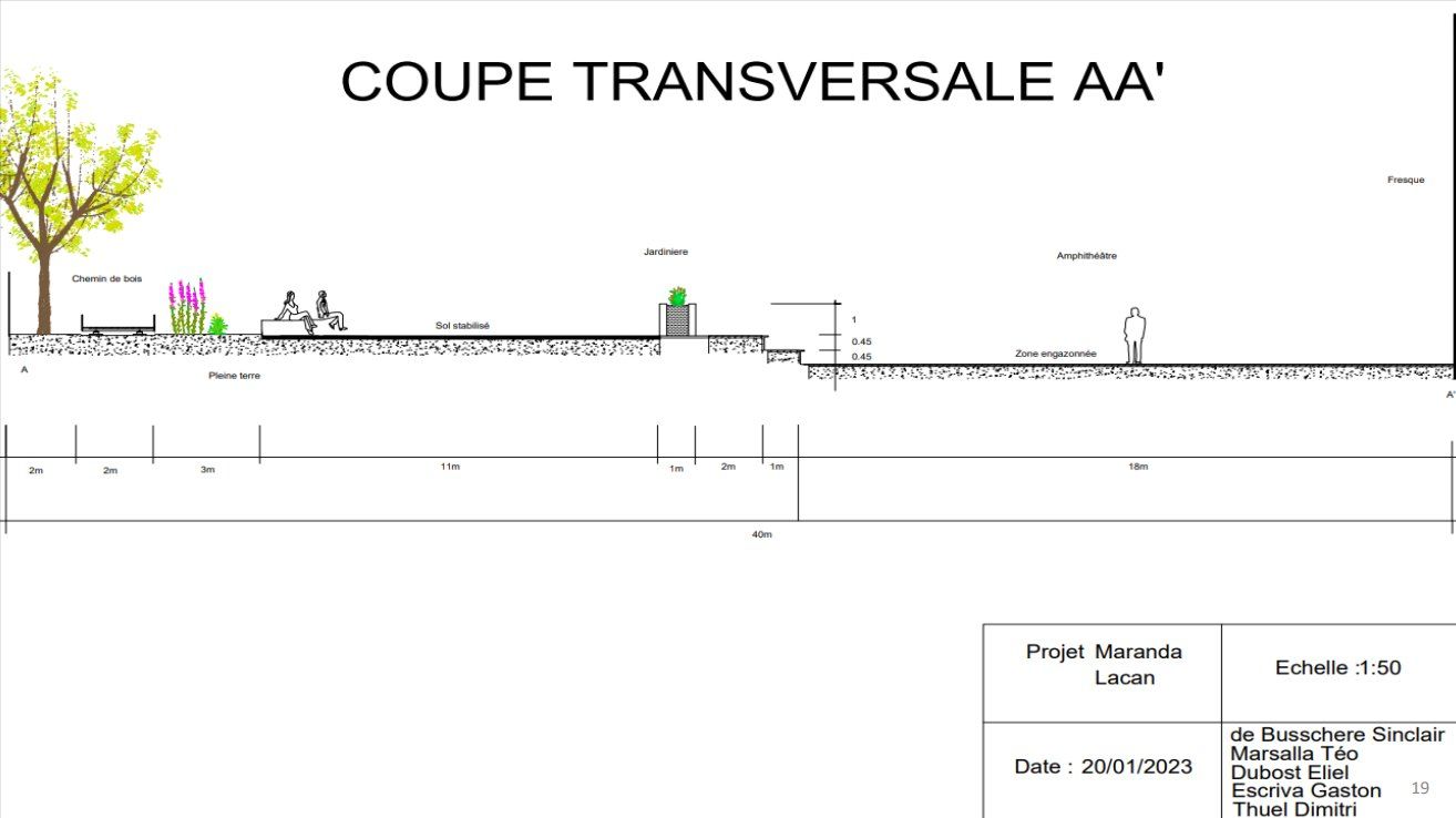 Coupe transversale du parc, du pied des immeubles à l'amphithéâtre