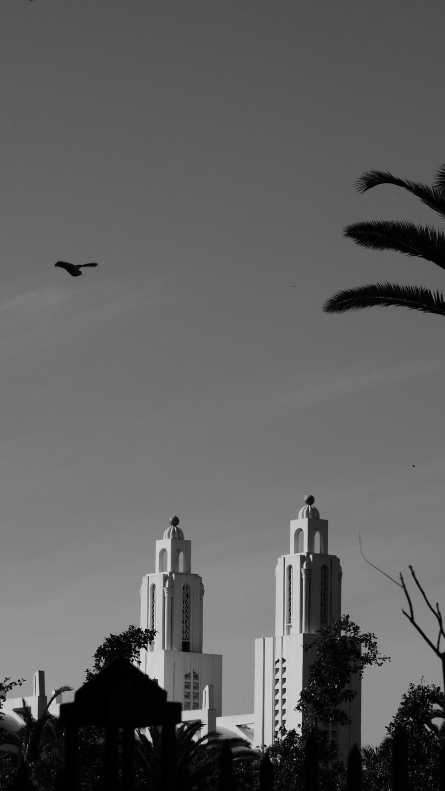 Deux tours de la cathédrale de Rabat se détachant sur un ciel sombre, un oiseau en vol