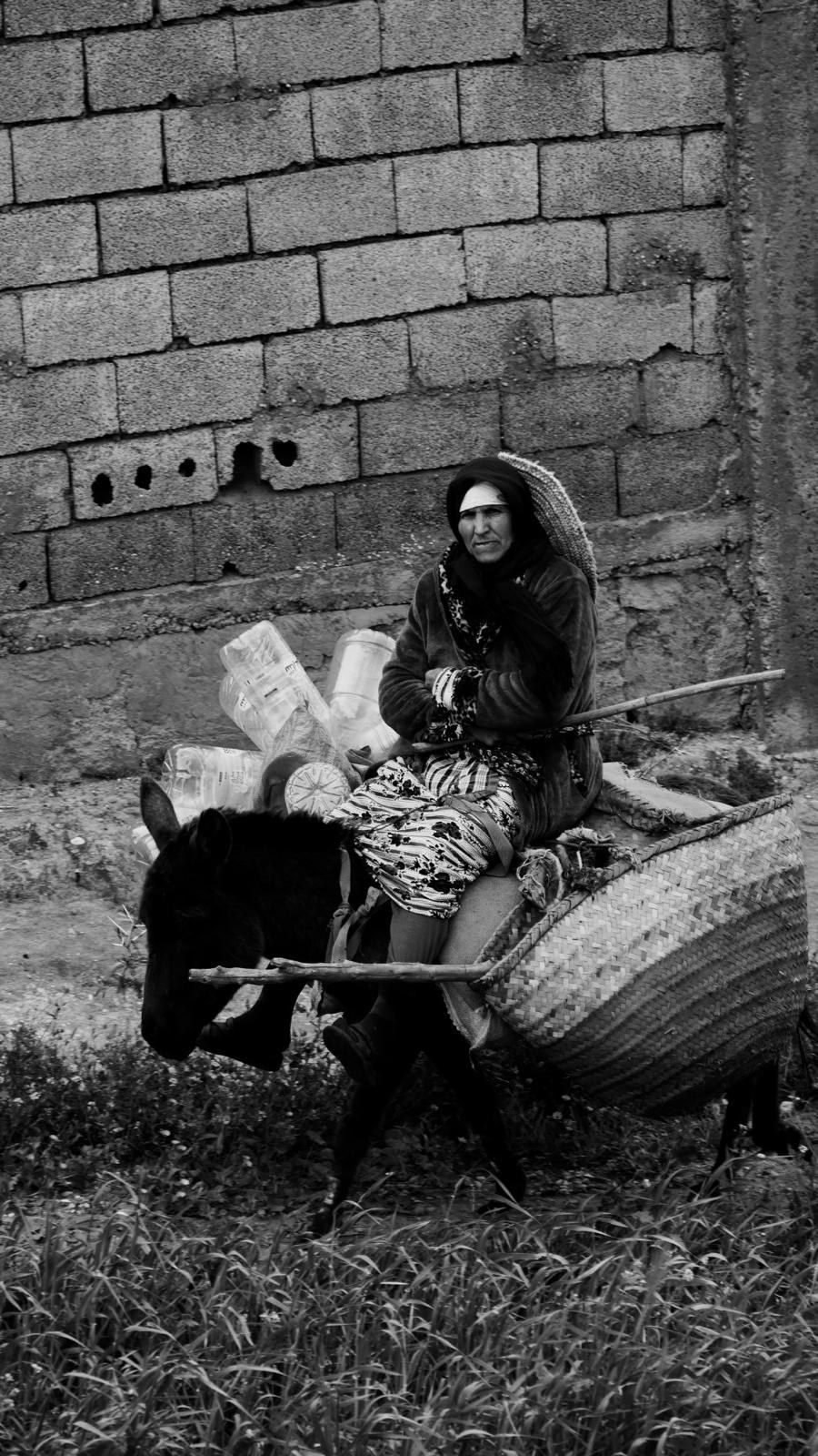Femme assise près d'un âne attelé à une charrette, devant un mur de briques