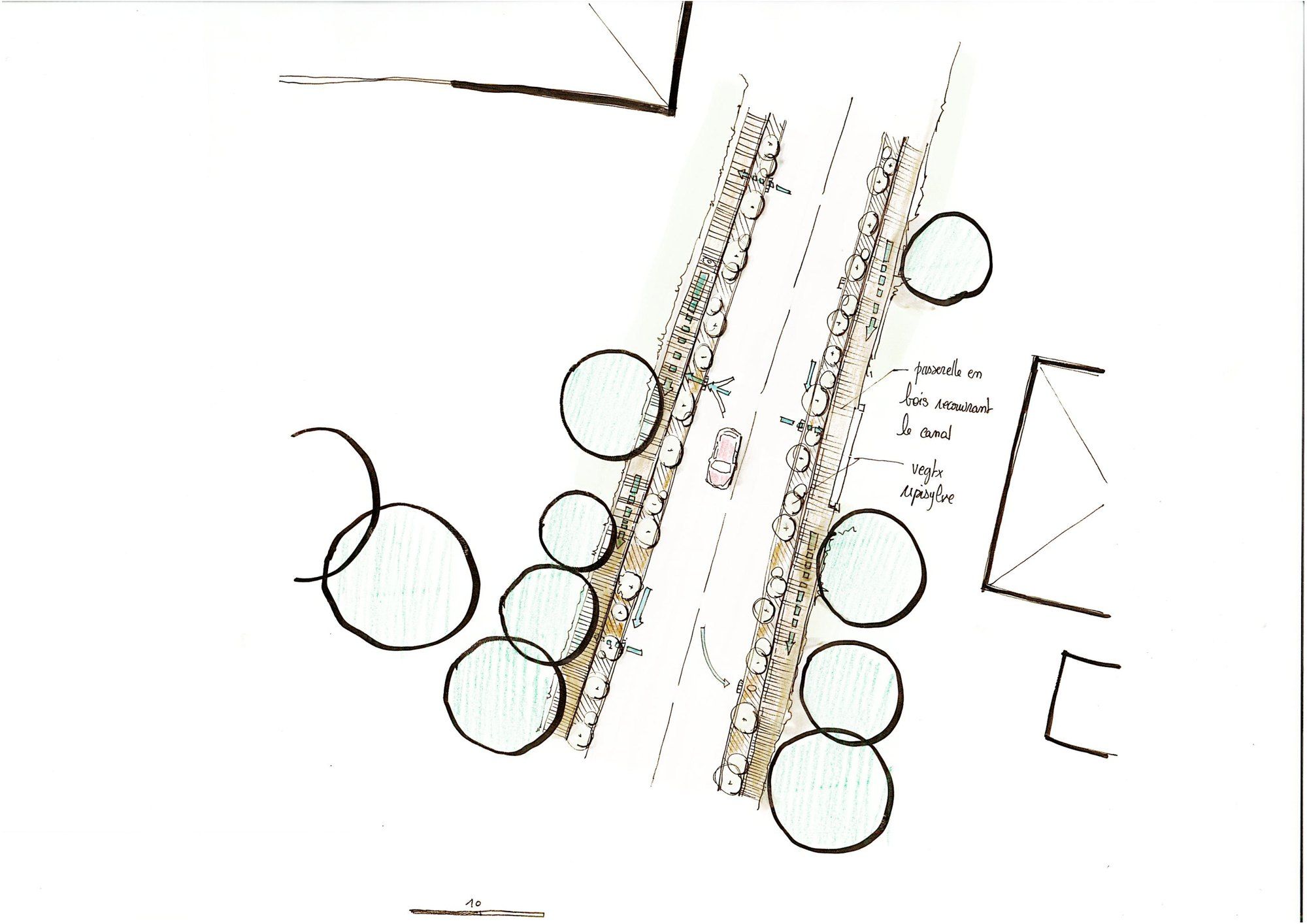 Plan de détail du canal : alignement d'arbres et promenade