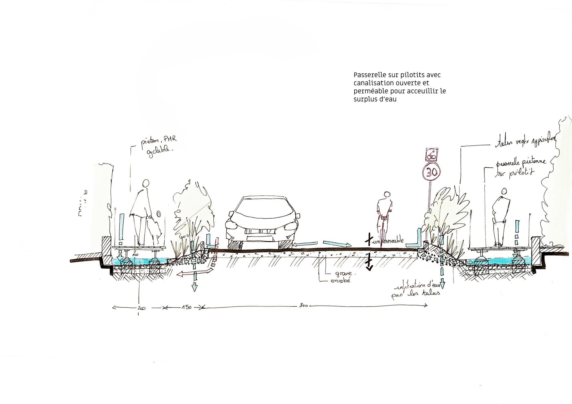 Coupe de rue : chaussée, noue plantée et passerelle sur pilotis